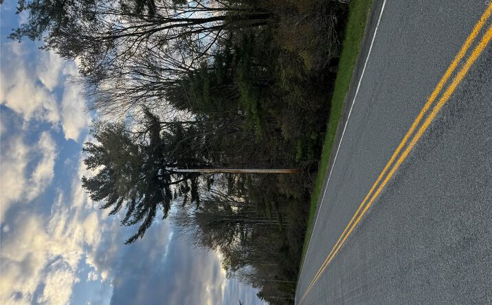 Pictures of Land, Special Purpose property located at TBD 000 Ulster Heights Road, Fallsburg, NY 12733 for sales - image #1