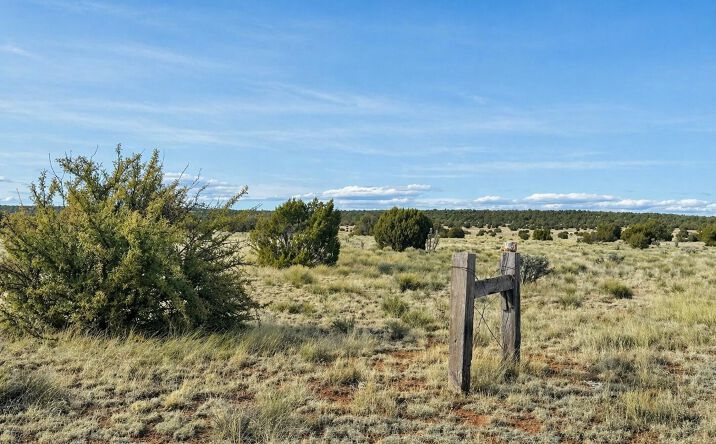 Pictures of Land, Multifamily property located at 78 N Miller Road, Seligman, AZ 86337 for sales - image #1