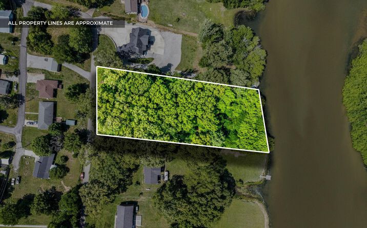 Pictures of Land property located at Lakeview Dr, Dover, TN 37058 for sales - image #1