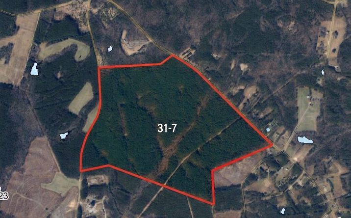 Pictures of Land property located at TBD Courthouse Road, Sutherland, VA 23885 for sales - image #1