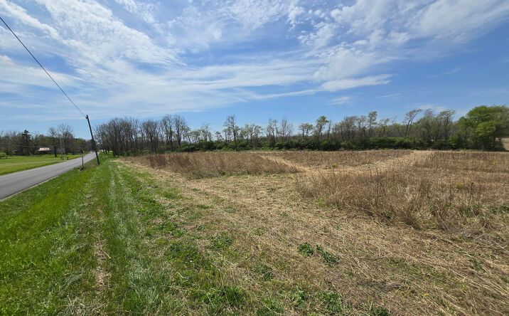 Pictures of Land property located at County Road 24, Cardington, OH 43315 for sales - image #1