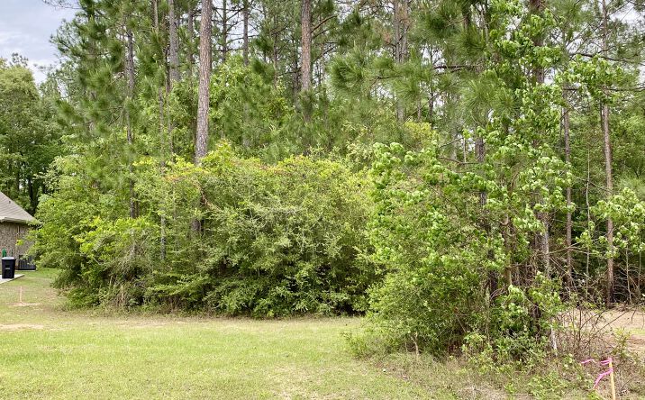 00 Sweet Birch Road, Lots 177 & 178, Carriere