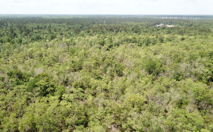 Pictures of Land property located at COUNTY ROAD 4203 ORANGE TX 77632, ORANGE, TX 77632 for sales - image #1