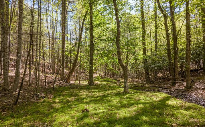 Pictures of Land property located at Lot 11 Ridge Line Trail, Independence, VA 24348 for sales - image #1