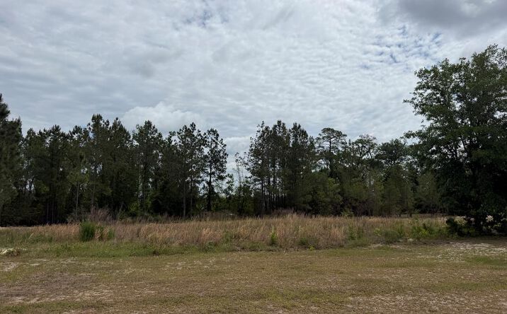 Pictures of Land property located at 3882 TIMBER RIDGE RD, Valdosta, GA 31601 for sales - image #1