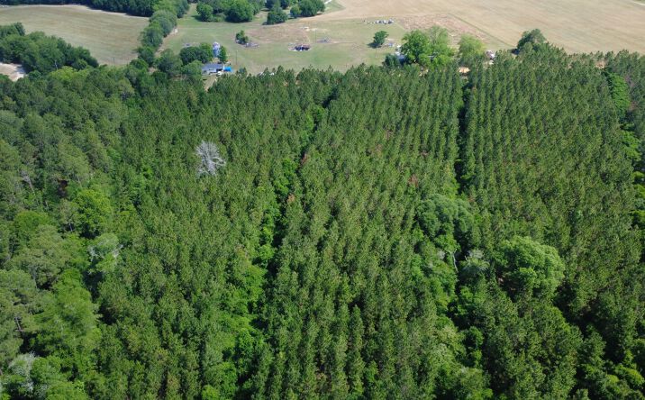 Pictures of Land property located at Al Reeve's Road, Fitzgerald, GA 31750 for sales - image #1
