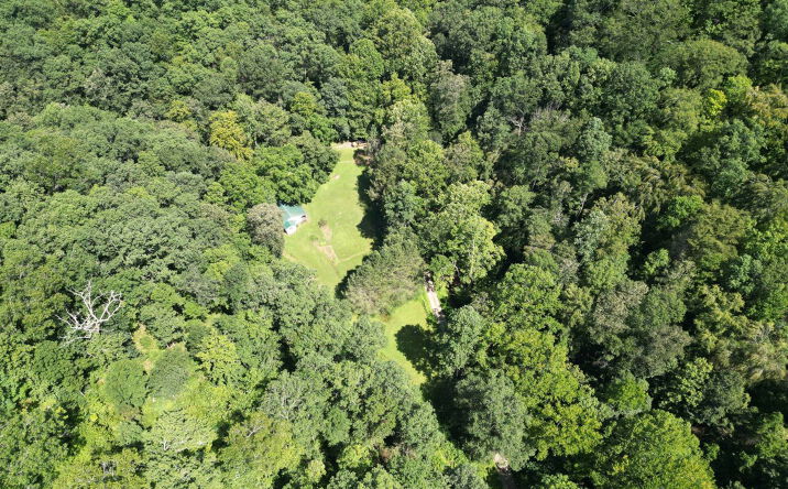 Pictures of Land property located at 1083 Right Fork Crummies Creek, Arnoldsburg, WV 25234 for sales - image #1