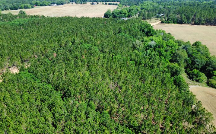 Pictures of Land property located at Sunflower Road, Fitzgerald, GA 31750 for sales - image #1