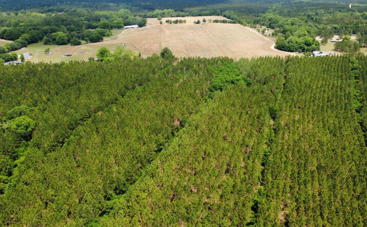 Pictures of Land property located at Sunflower Road, Fitzgerald, GA 31750 for sales - image #1