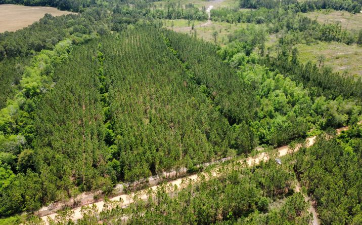 Pictures of Land property located at Sunflower Road, Fitzgerald, GA 31750 for sales - image #1
