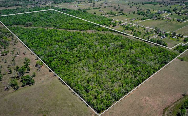 Pictures of Land property located at 2932 W FM 1462, ROSHARON, TX 77583-7935 for sales - image #1