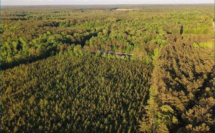 Pictures of Land property located at Highway 82, 70935, MS 39767 for sales - image #1
