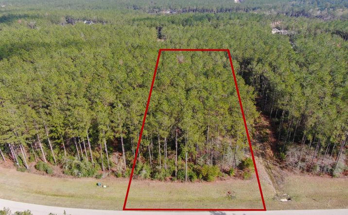 Pictures of Land property located at 15688 Wooded Trl Wy, Willis, TX 77378 for sales - image #1