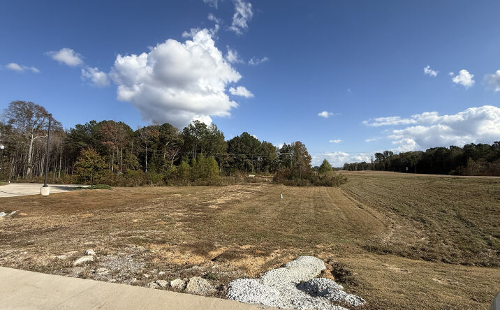 Pictures of Land property located at Hwy 18, Brandon, MS 39042 for sales - image #1