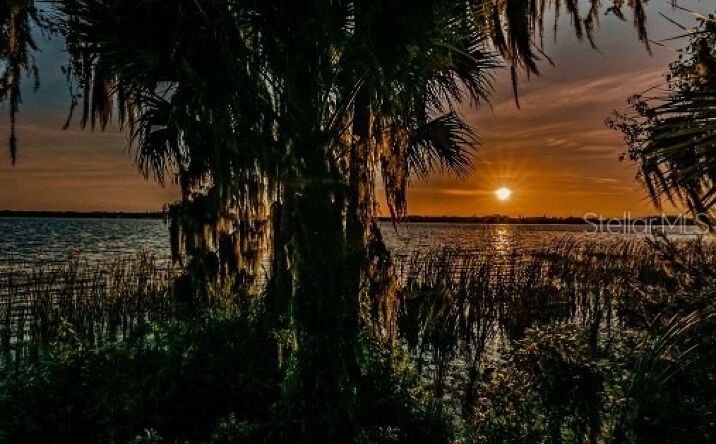 Pictures of Land property located at 4390 Tarpon Lake Blvd, Palm Harbor, FL 34685 for sales - image #1