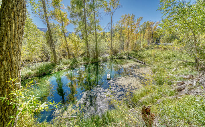 Pictures of Mixed Use, Land property located at 8086 W US Highway 50, Salida, CO 81201 for sales - image #1