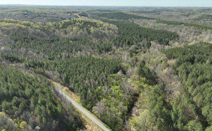Pictures of Land property located at 0 Wyatt Farm Road, Callands, VA 24530 for sales - image #1