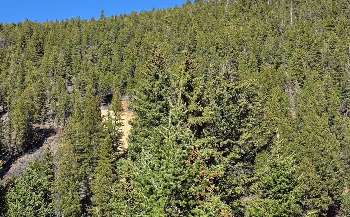 Pictures of Land property located at TBD Little Blackfoot Rvr Little Blackfoot River Road, Elliston, MT 59728 for sales - image #1