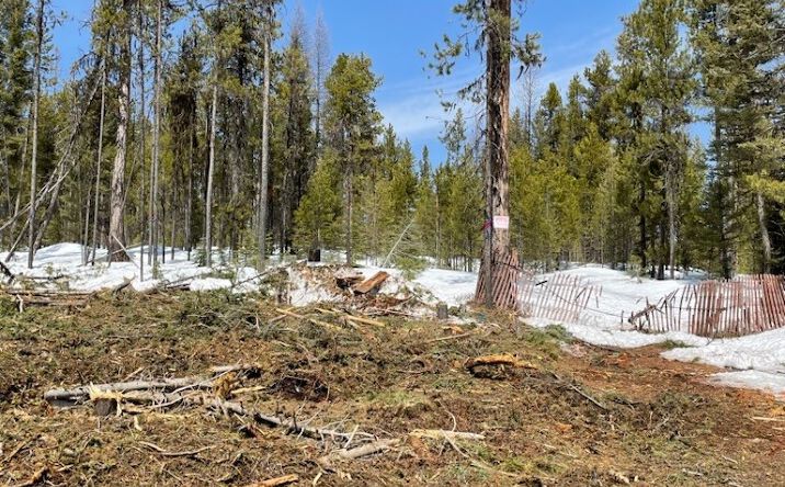 Pictures of Land property located at NHN Dirty Ike Creek Road, Clinton, MT 59825 for sales - image #1