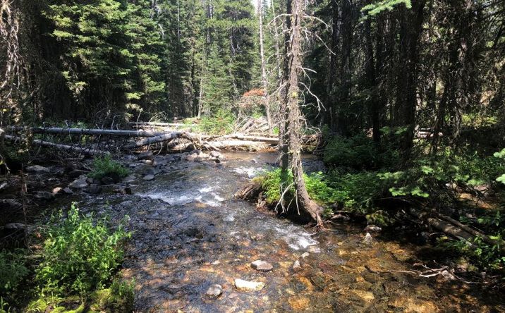 Pictures of Land property located at 7 S Boulder Road, Cardwell, MT 59721 for sales - image #1