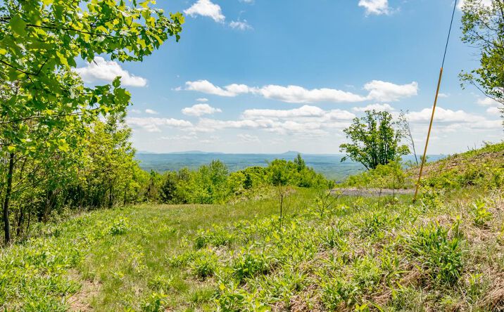 Pictures of Land property located at Lot 83 Spring Pond Trl, Fancy Gap, VA 24328 for sales - image #1