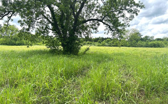 Pictures of Land property located at County Road 3450, Stratford, OK 74872 for sales - image #1