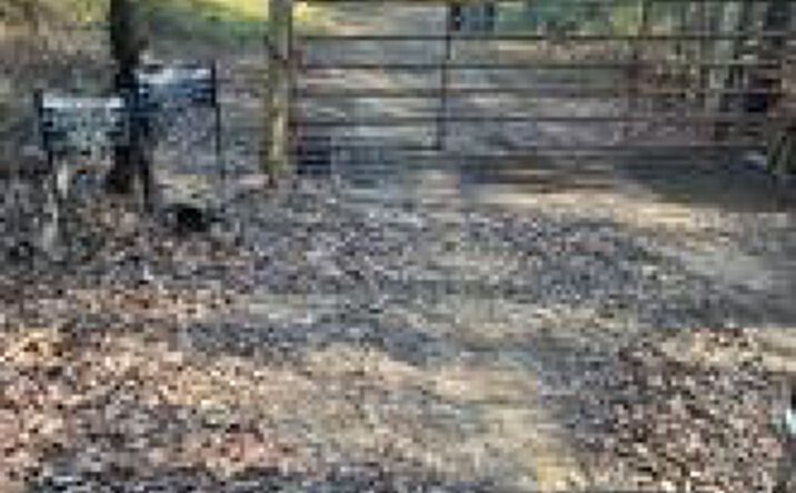 Pictures of Land property located at Goff Circle, Dyer, AR 72921 for sales - image #1