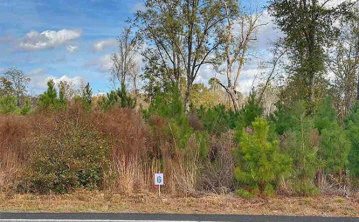 Pictures of Land property located at Lot 6 E Academy St, Latta, SC 29565 for sales - image #1