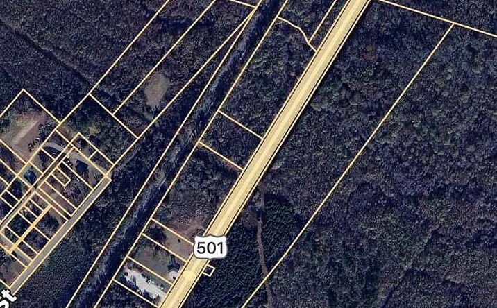 Pictures of Land property located at 3131 US-301, Latta, SC 29565 for sales - image #1