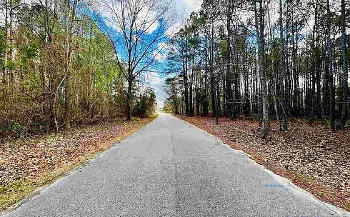 Pictures of Land property located at 37 Berry Cir, Latta, SC 29565 for sales - image #1