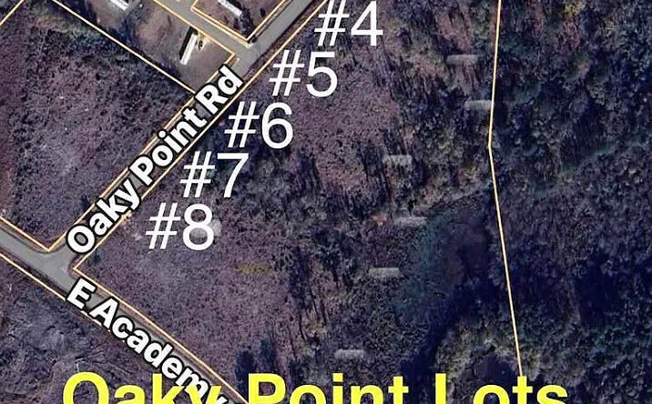 Pictures of Land property located at Lot 2 Oaky Point Rd, Latta, SC 29565 for sales - image #1