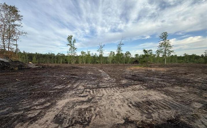 Pictures of Land property located at Hwy 110, Longville, LA 70652 for sales - image #1