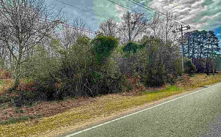 Pictures of Land property located at 3 W Main St, Dillon, SC 29536 for sales - image #1