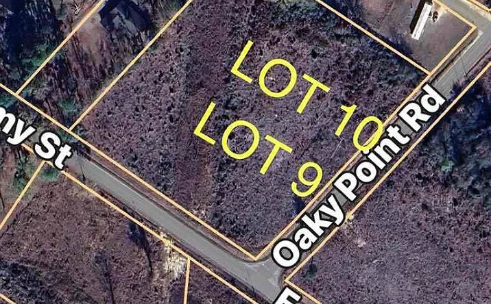 Pictures of Land property located at Lot 9 Oaky Point Rd, Latta, SC 29565 for sales - image #1