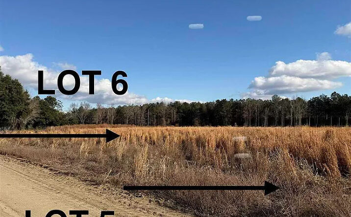 Pictures of Land property located at Lot 5 Neil Dr, Hamer, SC 29547 for sales - image #1