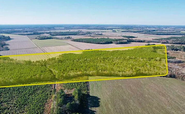 Pictures of Land property located at Harllees Bridge Rd, Dillon, SC 29536 for sales - image #1