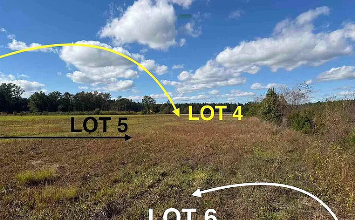 Pictures of Land property located at Lot 6 Mallory Beach Rd, Latta, SC 29565 for sales - image #1