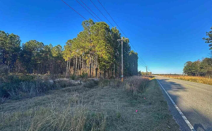 Pictures of Land property located at W Highway 34 & Dothan Rd, Dillon, SC 29536 for sales - image #1