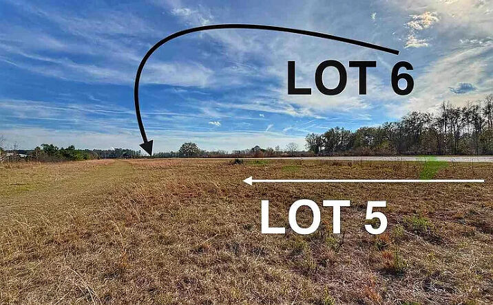 Pictures of Land property located at Lot 5 Mallory Beach Rd,, Latta, SC 29565 for sales - image #1