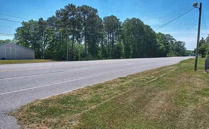 Pictures of Land property located at Tbd S Highway 301, Dillon, SC 29536 for sales - image #1