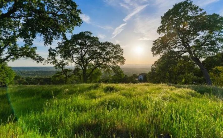 Pictures of Land property located at 2923 China Well Road, 10583, CA 95603 for sales - image #1