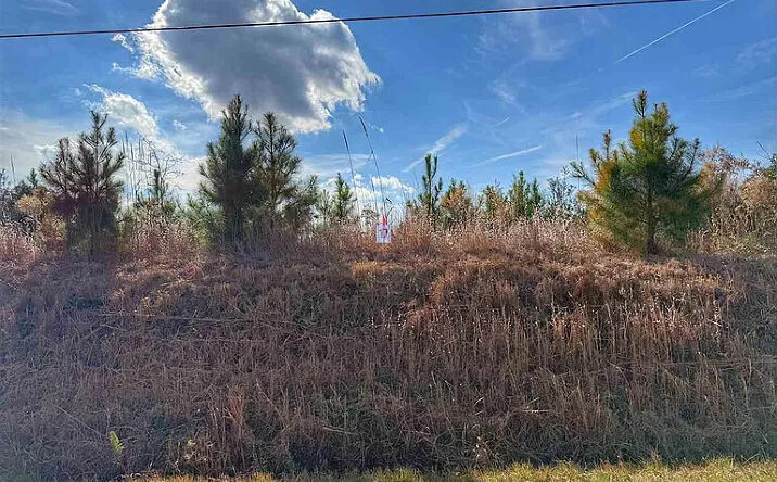 Pictures of Land property located at LOT 17 E Academy St, Latta, SC 29565 for sales - image #1