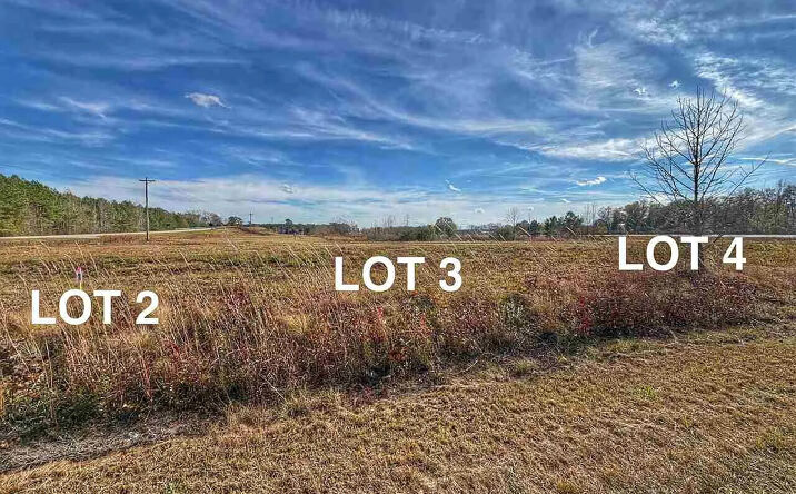 Pictures of Land property located at Lot 2 Catfish Church Rd, Latta, SC 29565 for sales - image #1