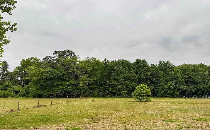 Pictures of Land property located at LOT 17 Treasure Cv, Latta, SC 29565 for sales - image #1