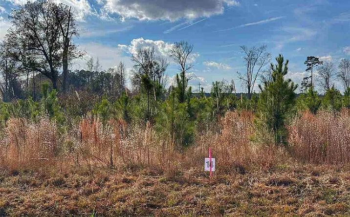 Pictures of Land property located at Lot 14 E Academy St, Latta, SC 29565 for sales - image #1