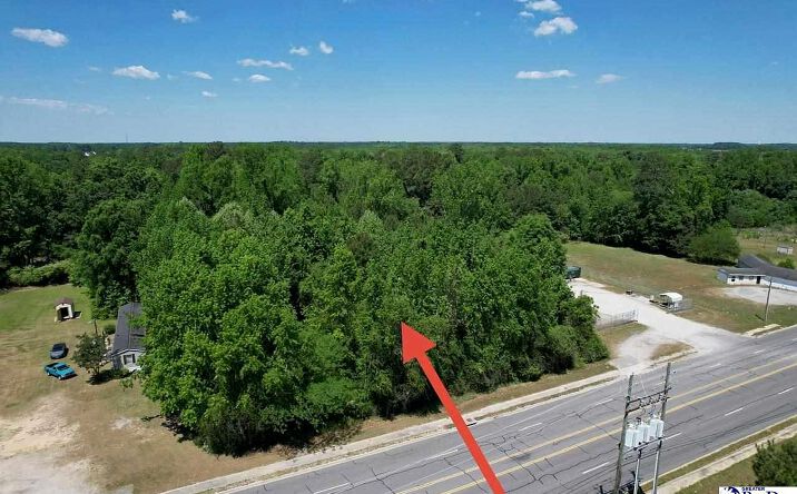Pictures of Land property located at Highway 301 S, Dillon, SC 29536 for sales - image #1