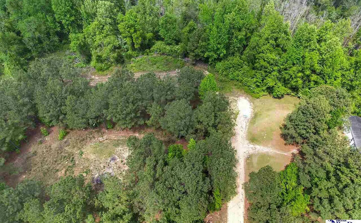 Pictures of Land property located at Zachary Ct, Latta, SC 29565 for sales - image #1