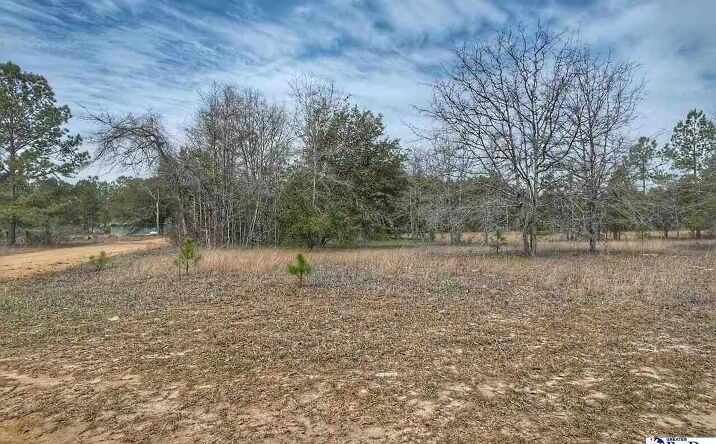 Pictures of Land property located at Ozelma Dr, Dillon, SC 29536 for sales - image #1