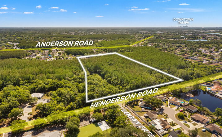 Pictures of Retail property located at 12591 Henderson Road, Tampa, FL 33625 for sales - image #1