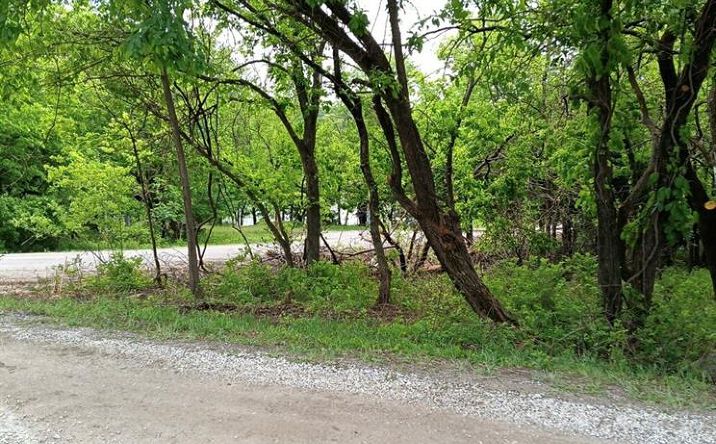 Pictures of Land, Special Purpose, Multifamily property located at 2-6 Pecan Drive, Linn Valley, KS 66040 for sales - image #1